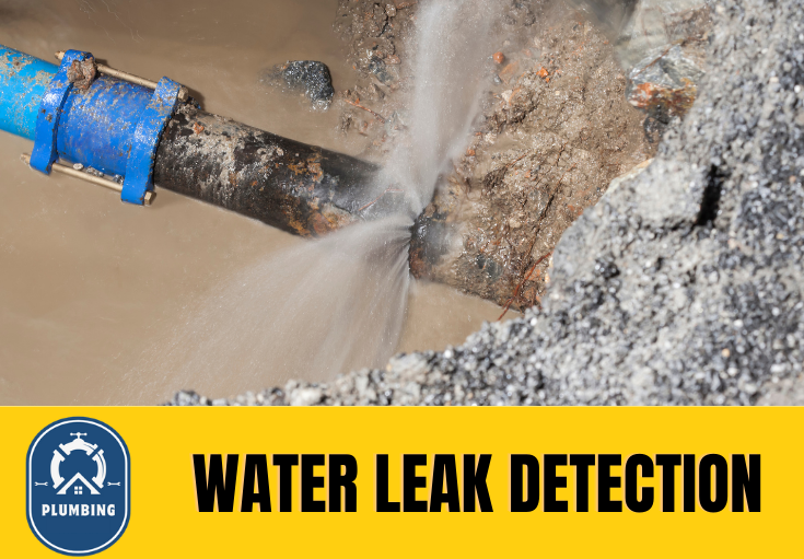 leak detection Tameside (Ashton-under-Lyne)